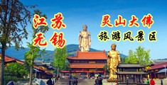 蜜臀av站长江苏无锡灵山大佛旅游风景区