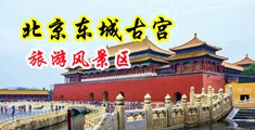 操大淫荡逼精品中国北京-东城古宫旅游风景区
